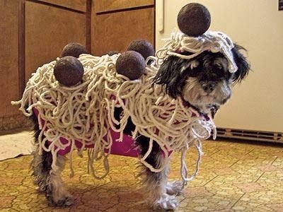 Funny costumes for dogs hotsell